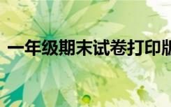 一年级期末试卷打印版数学 一年级期末试卷