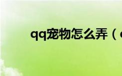qq宠物怎么弄（qq宠物怎样结婚）