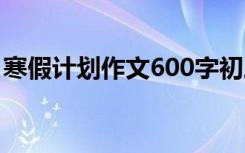 寒假计划作文600字初三 寒假计划作文600字