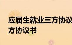 应届生就业三方协议模板 应届毕业生就业三方协议书