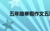 五年级寒假作文五篇 五年级寒假作文