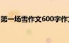 第一场雪作文600字作文 第一场雪800字作文