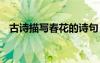 古诗描写春花的诗句 古代描写春花的诗句