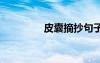 皮囊摘抄句子 皮囊的摘抄