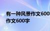有一种风景作文600字优秀作文 有一种风景作文600字