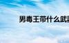 男毒王带什么武器（男毒王加点）