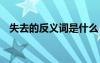 失去的反义词是什么 慌张的反义词是什么