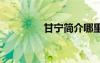 甘宁简介哪里人 甘宁简介