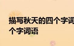 描写秋天的四个字词语有哪些 描写秋天的四个字词语