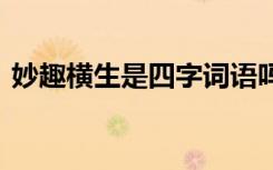 妙趣横生是四字词语吗 妙趣横生的成语解释