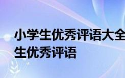 小学生优秀评语大全简短班主任怎么写 小学生优秀评语
