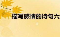 描写感情的诗句六字 描写感情的诗句
