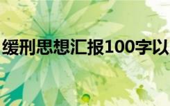 缓刑思想汇报100字以内 缓刑思想汇报100字