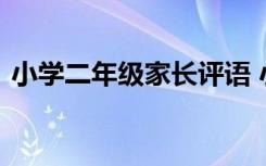 小学二年级家长评语 小学生二年级家长评语