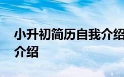 小升初简历自我介绍模板 小升初的简历自我介绍