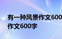 有一种风景作文600字优秀作文 有一种风景作文600字