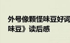 外号像颗怪味豆好词好句摘抄 《外号像颗怪味豆》读后感