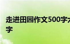 走进田园作文500字六年级 走进田园作文500字