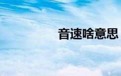 音速啥意思（音速昏昏）