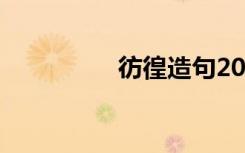 彷徨造句20字 彷徨造句