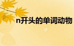 n开头的单词动物 n开头的单词 动物