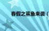春假之鲨鱼来袭（春假之鲨鱼袭击）