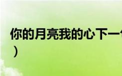 你的月亮我的心下一句（你的月亮我的心台词）