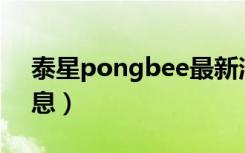 泰星pongbee最新消息（泰星pong最新消息）