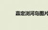 嘉定浏河岛图片（嘉定浏河岛）