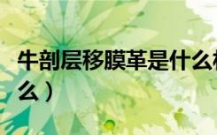 牛剖层移膜革是什么材质（牛剖层移膜革是什么）
