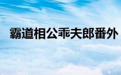 霸道相公乖夫郎番外（霸道娘子温柔相公）