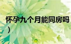 怀孕九个月能同房吗（怀孕九个月同房了一次）