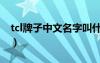 tcl牌子中文名字叫什么（tcl是什么牌子中文）