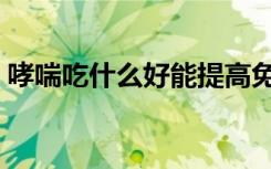 哮喘吃什么好能提高免疫力（哮喘吃什么好）