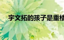 宇文拓的孩子是重楼吗（宇文拓的孩子）