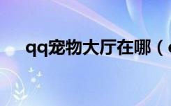 qq宠物大厅在哪（qq宠物监狱猫在哪）