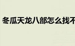 冬瓜天龙八部怎么找不到了（冬瓜天龙八部）