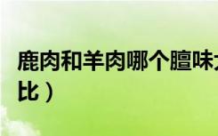 鹿肉和羊肉哪个膻味大（鹿肉和羊肉的功效对比）