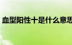 血型阳性十是什么意思（阳性十是什么意思）