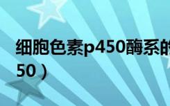 细胞色素p450酶系的主要功能（细胞色素p450）