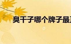 臭干子哪个牌子最正宗好吃（臭干子）