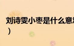 刘诗雯小枣是什么意思（刘诗雯为什么叫小枣）