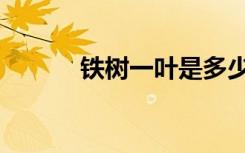 铁树一叶是多少克（铁树一叶）