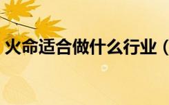 火命适合做什么行业（金命适合做什么行业）