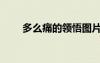 多么痛的领悟图片（多么痛的领悟）