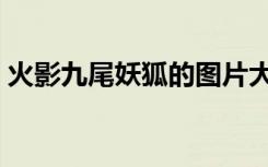 火影九尾妖狐的图片大全（火影之九尾妖狐）