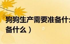 狗狗生产需要准备什么东西（狗狗生产需要准备什么）