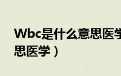 Wbc是什么意思医学正常值（wbc是什么意思医学）