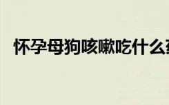 怀孕母狗咳嗽吃什么药（狗咳嗽吃什么药）