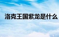 洛克王国紫龙是什么（洛克王国紫云翼龙）